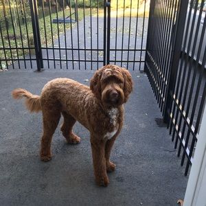 Meet your Posher, Kelly